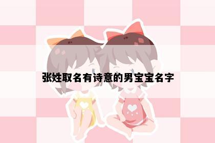 张姓取名有诗意的男宝宝名字