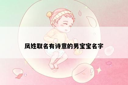 凤姓取名有诗意的男宝宝名字